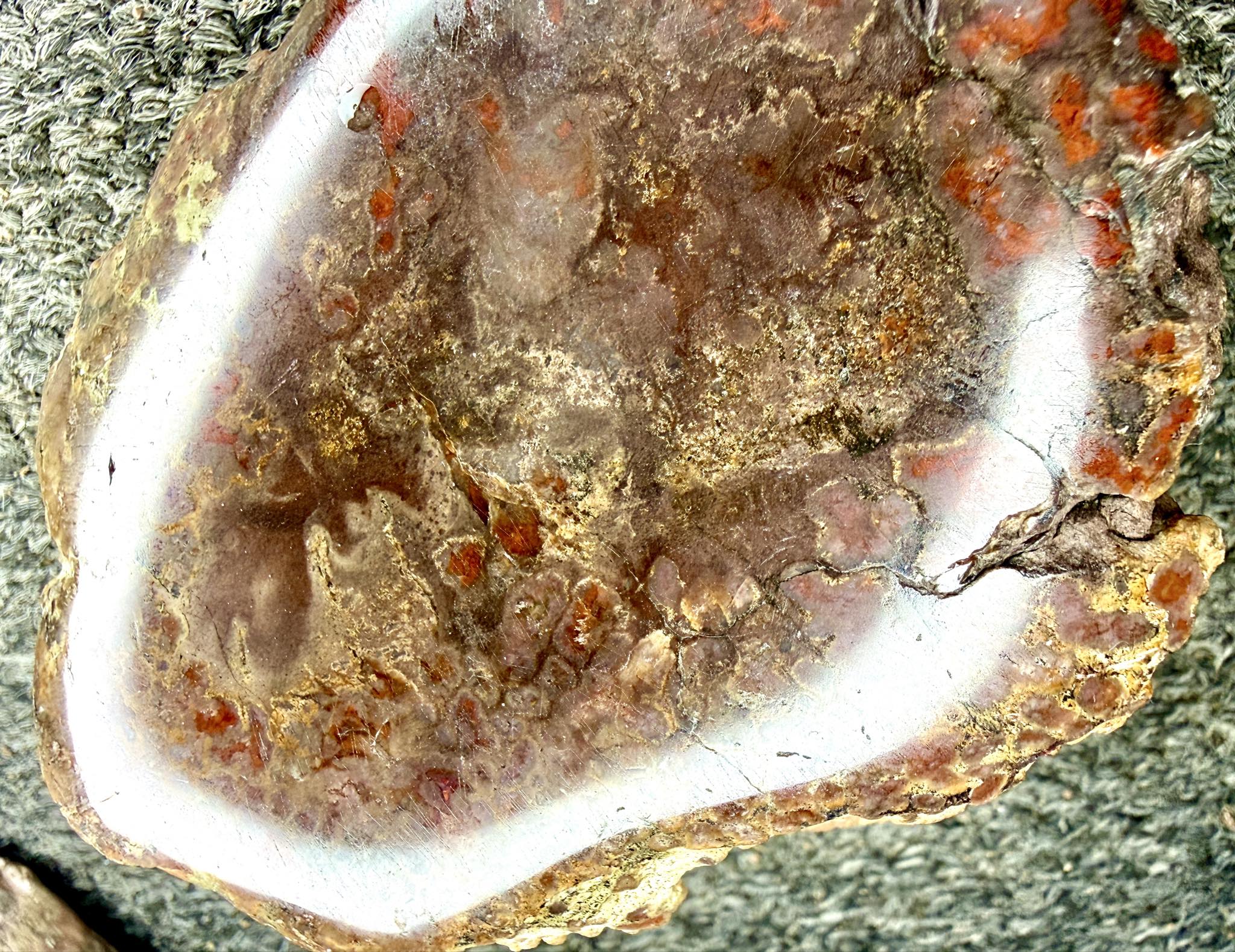 Southern Colorado Copalite