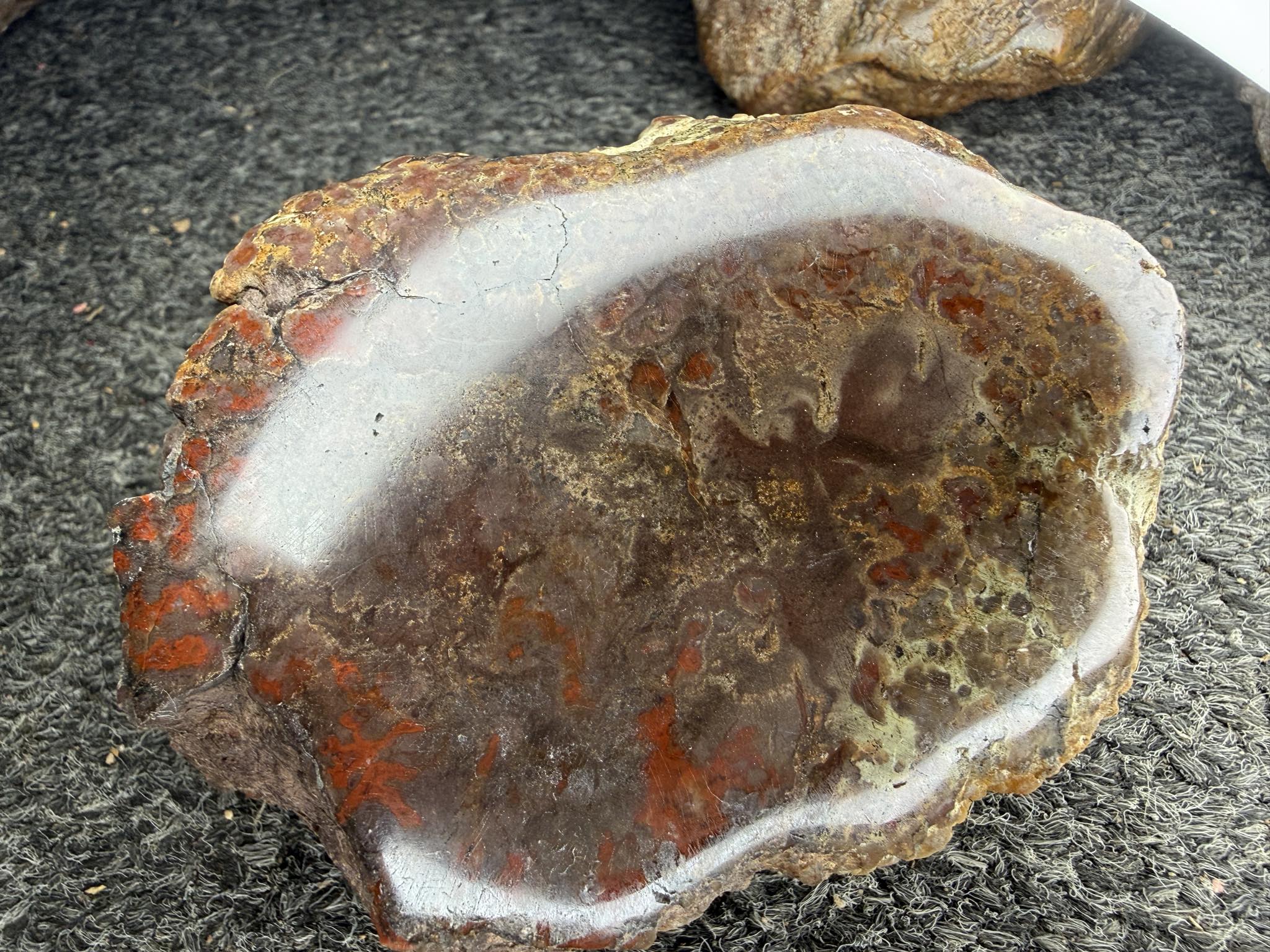Southern Colorado Copalite