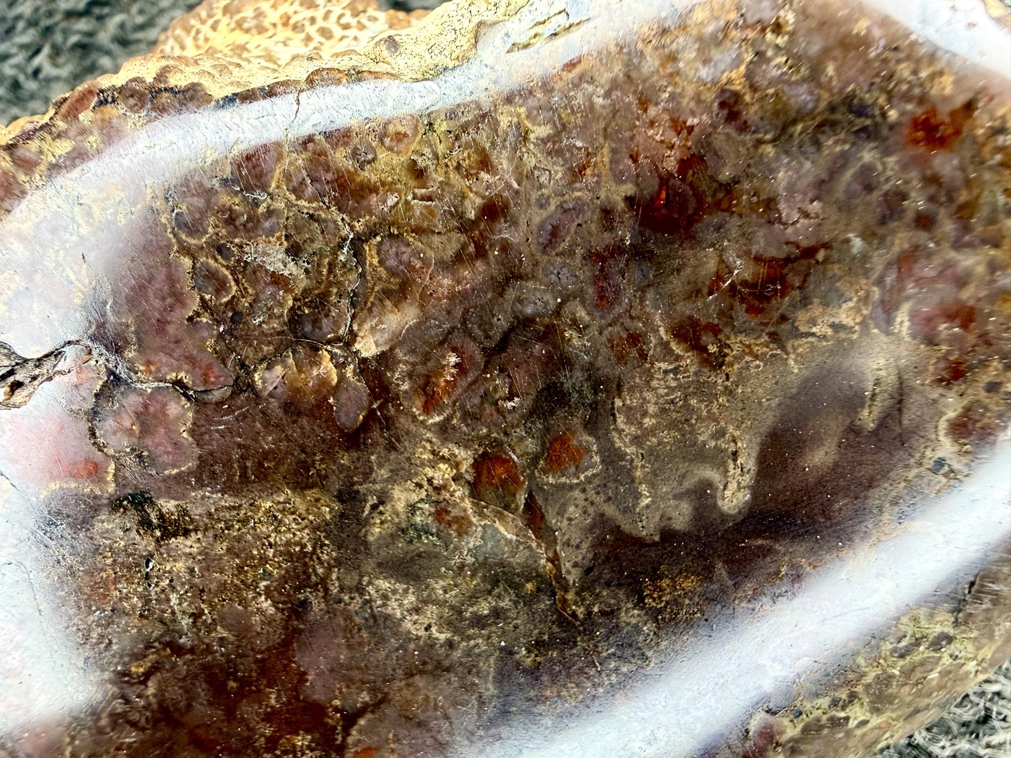 Southern Colorado Copalite