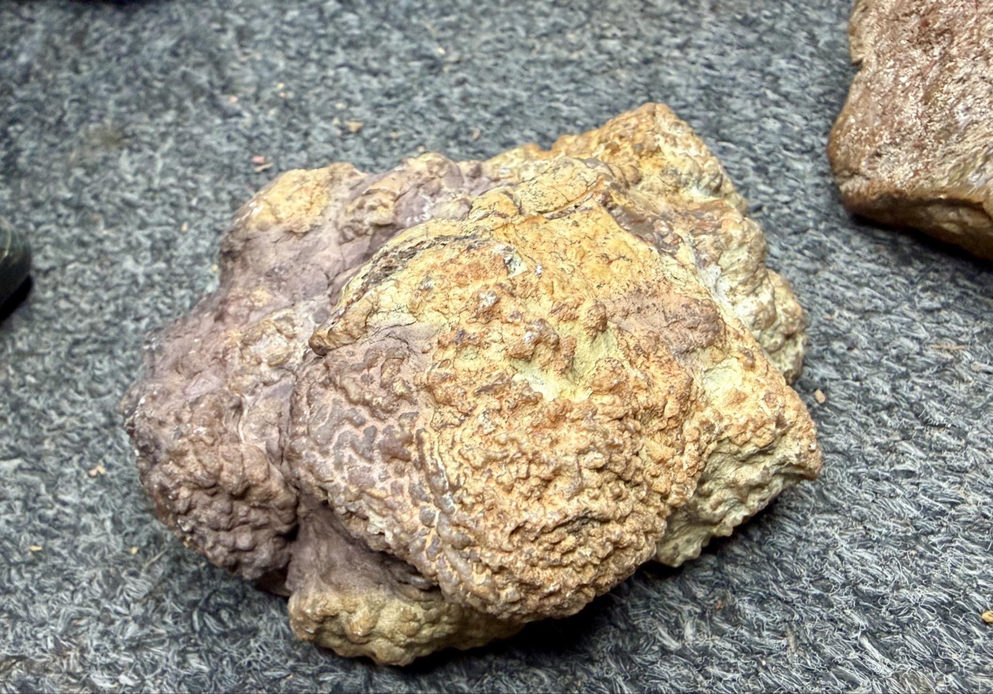 Southern Colorado Copalite